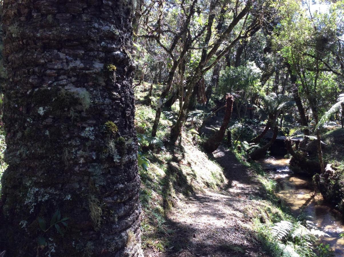 Chales Do Ferradura Campos do Jordao Exterior photo